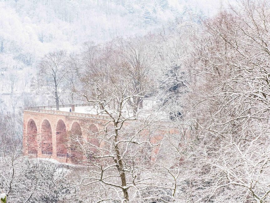 Foto: Staatliche Schlösser und Gärten Baden-Württemberg, Ralf Kuhlen Schloss Heidelberg, Scheffelterasse
