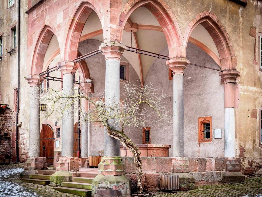 Foto: Staatliche Schlösser und Gärten Baden-Württemberg, Ralf Kuhlen Brunnenhalle, Schloss Heidelberg